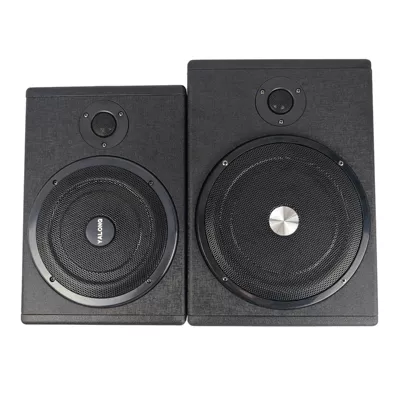 Car speaker/subwoofer — Custom-Made, Direct Supply from Factory