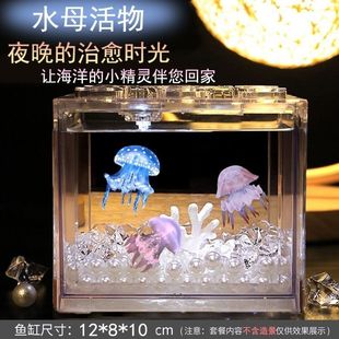 Gifts for Children, Small Safe, Electricity-Free Pets, Easy to Raise, Treasure Jellyfish, Non-Toxic