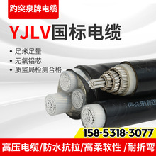支持定制國標鋁線架空絕緣纜線 YJLV單芯聚氯乙烯鎧裝電力電纜線