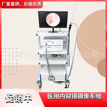 ٿƃȸQRϵyǺȸQRzϵy^ǃȸQR