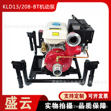 KLD13/208-BT�Ś�ʽ������90m�ߓP����ˮ�ñ�y��̧���͙C�ӱ�