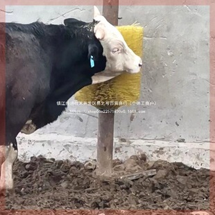 ˢ��ţ�wˢ��Ħ�W��ţ������Ħţ�ϰWֹ�W��̖ˢ����ˢ��