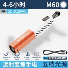 ���������ͯ�����ֵ�Ͳ�ɳ�糤������Я¶Ӫ����ǿ��ѧ���ֵ�Ͳ