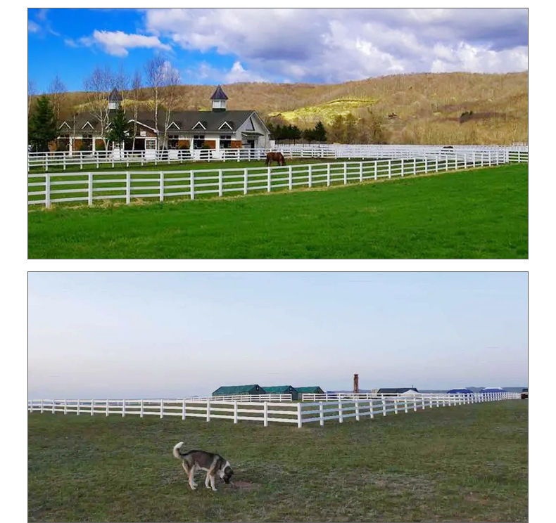 59f2845ef907b57315ef98633a8bf8