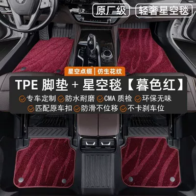Modelə uyğun ayaqaltı, Floor Mats Fully Surround Original Factory - haval-second-generation-big-dog-23-25-models-new-energy-double-layered-best-selling-model-tpe-floor-mats-burgundy-starry-sky-blanket