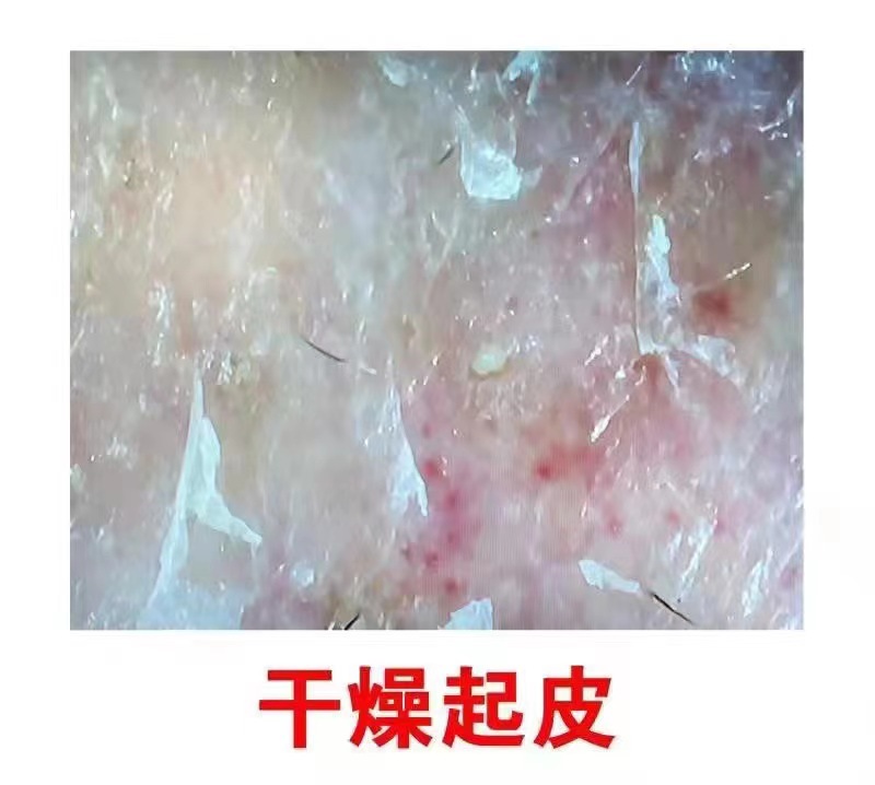 微信图片_20230904115732