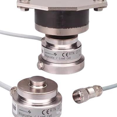 Schenck Process    RTB 0.25T MR V041086.B07   C3 V041086.B01