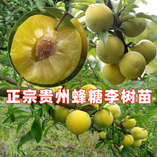 ���Ә����F��悌����������X�����A������������޽��箔��Y����