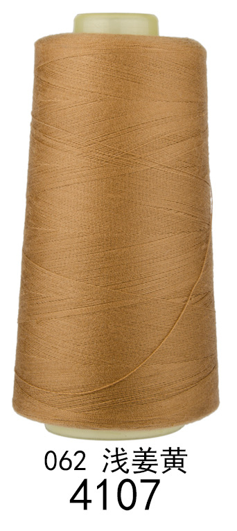 4107 라이트 강황