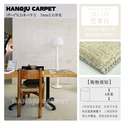 Room, Home, Live Streaming Room, Car Carpet - su-09-ballet-white