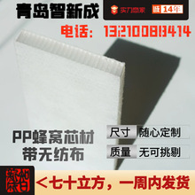 薦 廠家直銷的高強度PP塑料蜂窩板  聚丙烯復合材料蜂窩濾芯網