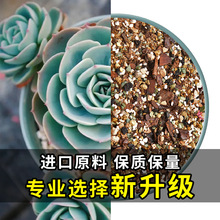 �����������w���I�B��ֲ���M����̿�Nֲ�����ʯ�~�弃�����]