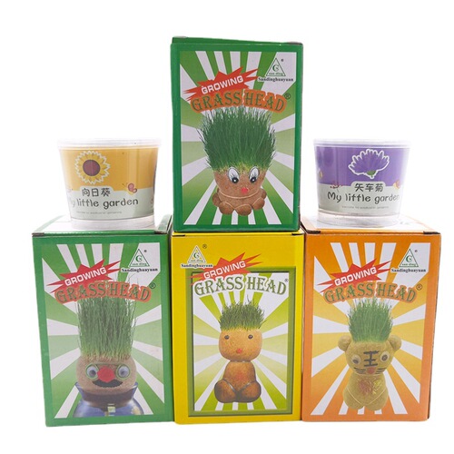 Office potted plants watering grassy grass doll mini plant planting and cultivation creative grass head doll wholesale