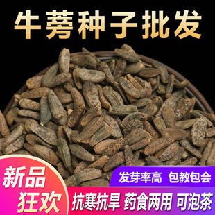 ��ţ��N�Ӳ�ţ���ӷN��ţ����贺���ļ��Nֲ��轛Q���ӷN��