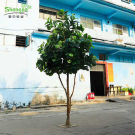 仿真琴叶榕 欧式家居植物装饰假绿植橱窗假植物摆件布景 厂家直销