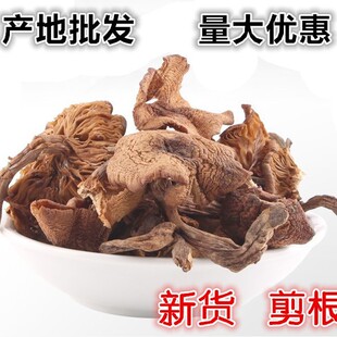 ���d���XҰ���Ģ ҰĢ�� �|��С�u��Ģ�� ��Ģ�� 500�˰��]