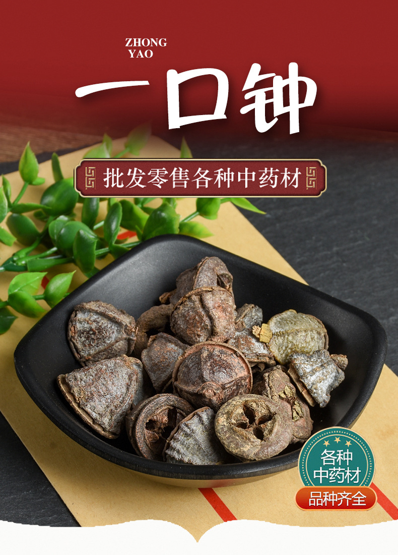 Yi Kou Zhong (Eucalyptus tereticornis) — Dried Herbal Fruit for Traditional Decoctions overview
