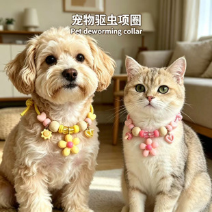 �羳���u�F؛���������xʭ���Ȧ����؈����{��������x�Ȧ