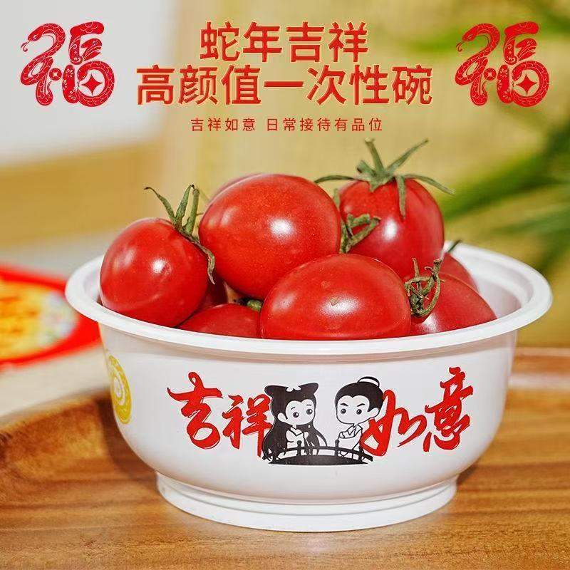 New Disposable Household Bowls with a Premium Feel, Food-Grade, 2025 Thickened New Year Bowls, Red, High Quality, Heat-Resistant