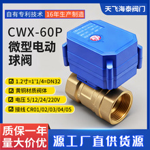 CWX-60P΢��늄��y�T ��Ť��DN32ֱͨ�ݼy朽ӷ�ˮ�~���y�S�����l