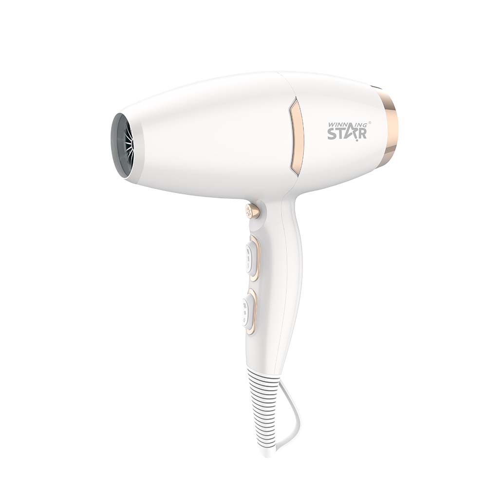 Winning Star comercio exterior hogar frío y caliente velocidad del viento seco de alta potencia anti-secado secador de pelo Hair Dryer