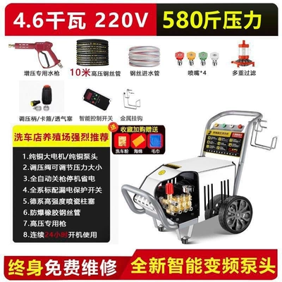 Car washing machine | Gun Cleaning Machine for Car - duoduo-straight-hair-black-cat-9999w-46-kw-220v-290kg-pressure-10m