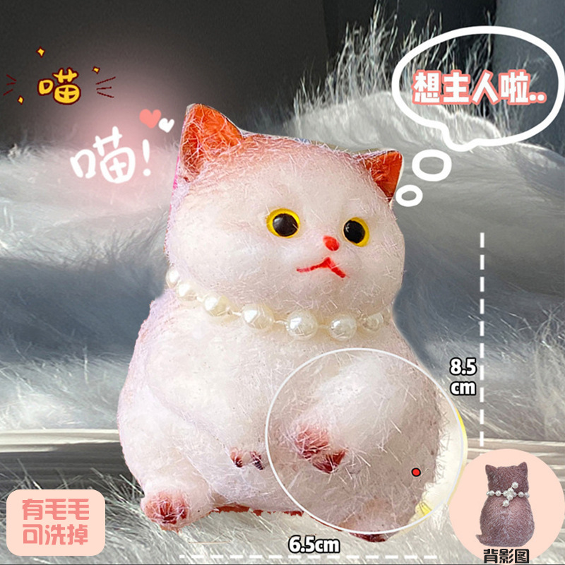 고양이 핀치【미시안종 130g】