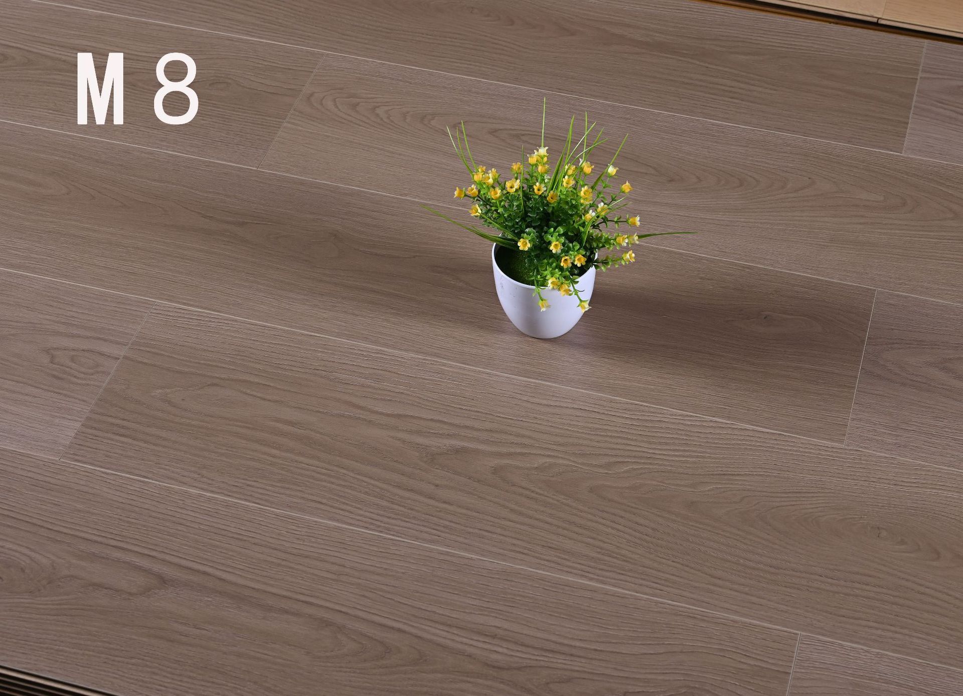 _cgi-bin_mmwebwx-bin_webwxgetm