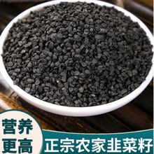 �²��ѳ������ș��500g�ݾ�������Ʒ�ϷN�²��ӷ������B����Ұ��