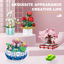 ¿bɻĵ 辰eľŮƴbСweľ[