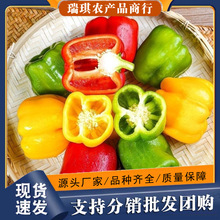山东红椒黄椒绿椒甜椒新鲜现摘五彩椒水果椒甜椒一件代发5斤