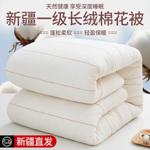 新疆一级棉被棉花被子棉被芯棉絮床垫被褥子纯棉学生宿舍专用冬季
