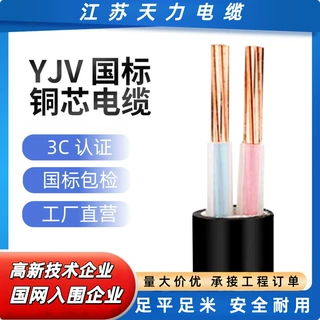 江苏天力YJV两芯电缆线足米阻燃纯铜国标全项包检硬线电力电缆