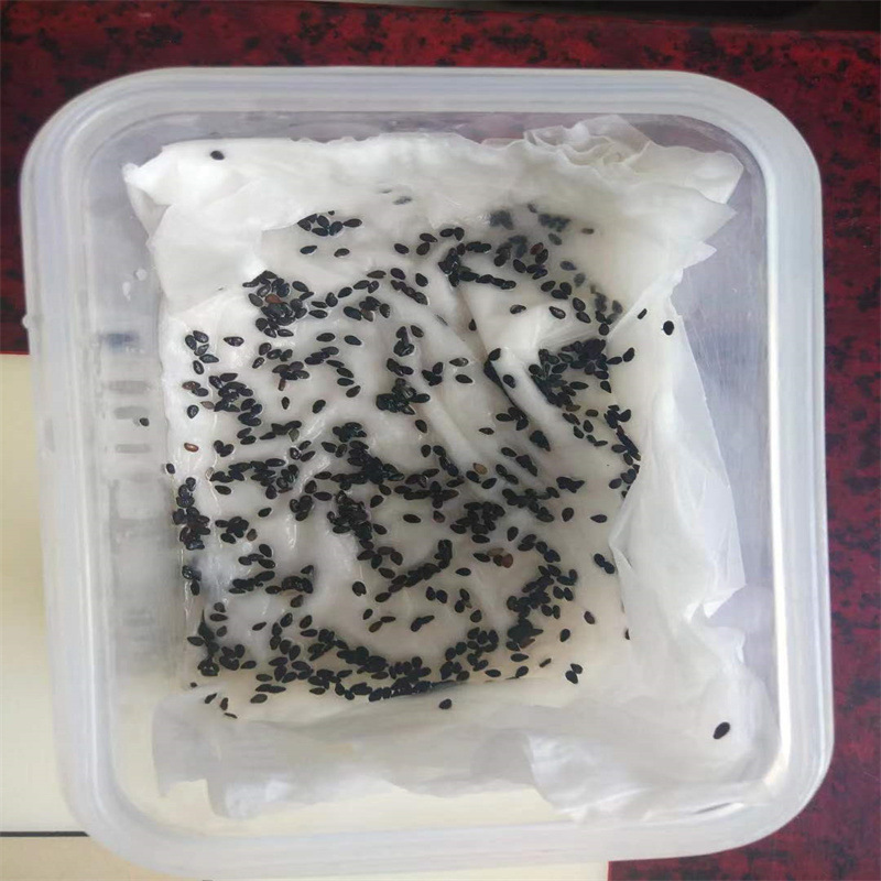 微信图片_202305110822394