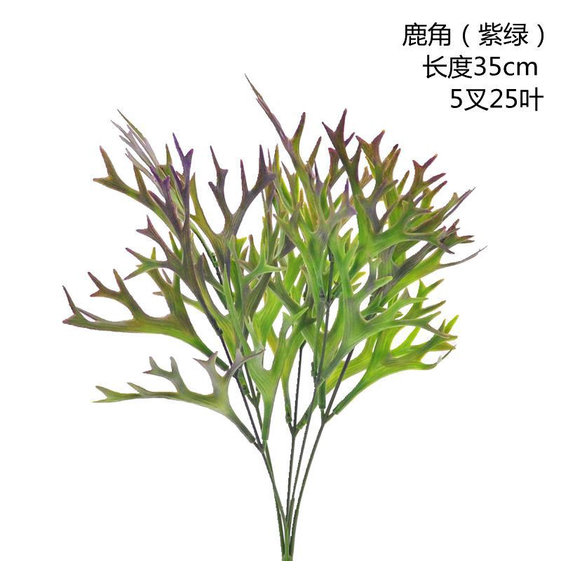 보라색 녹색 뿔