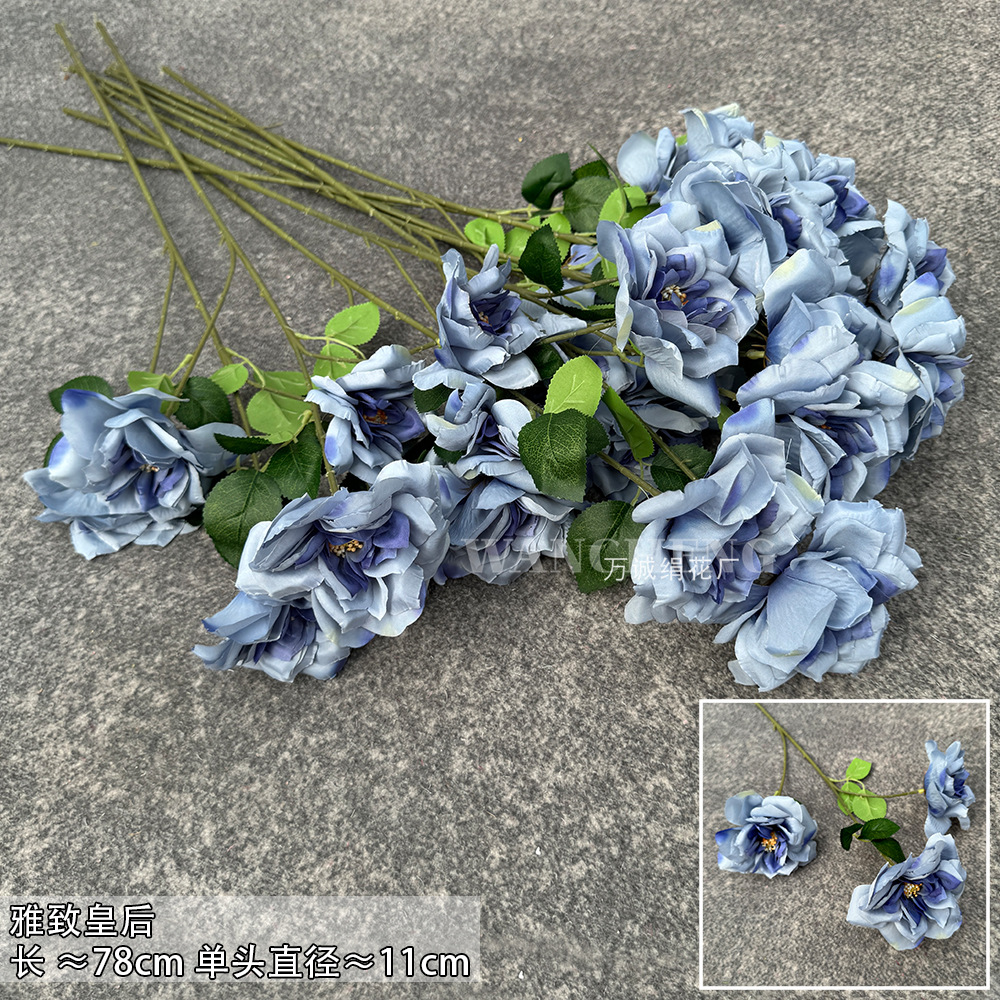 Elegant Queen-haze Blue