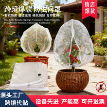 ���R�d���N ֲ����x�ַ��x�����K���nω�ֻ������x�W���ܷ��B��