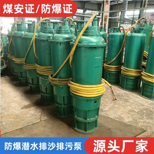 Mining Explosion-Proof Submersible Sand Drainage Electric Pump Bqs100-320/4-220Kw High Lift 660V Explosion-Proof Pump