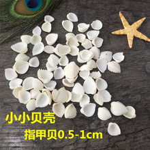 ȻССؐ  ľзؐ~  ؐ ׺ ˇƷb