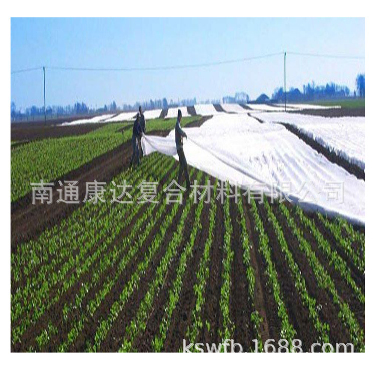 50g农业无纺布  防虫育秧苗