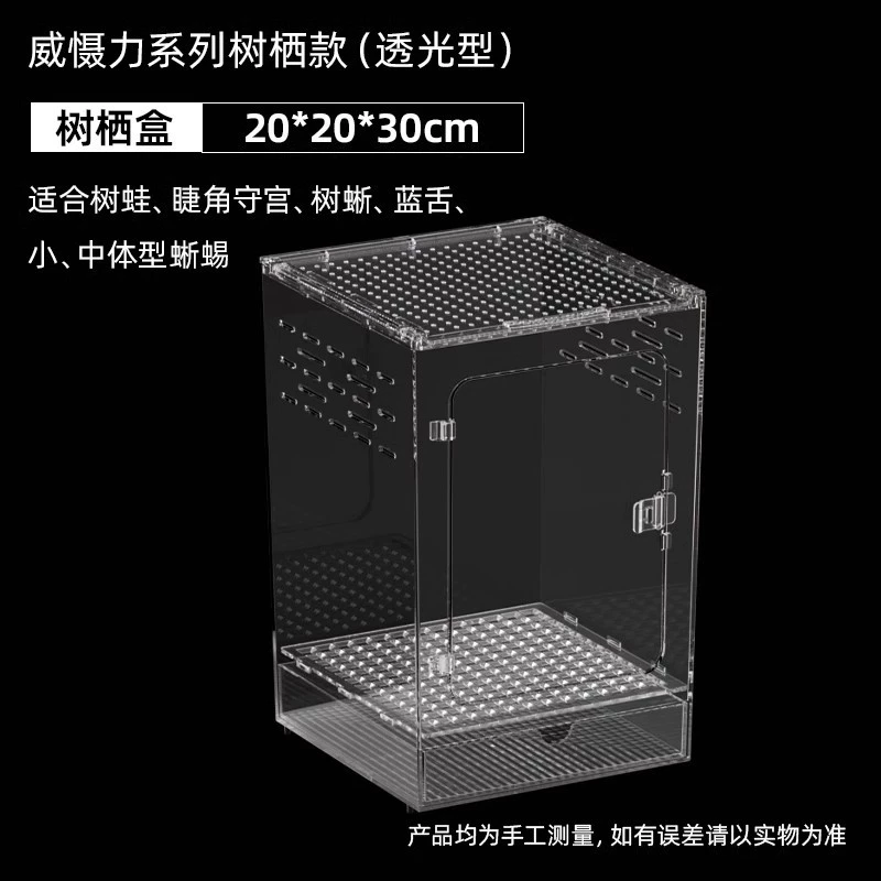 Акриловая ящерица лазает на дворцовых ящиках для хранения ящиков для хранения деревьев