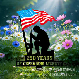 跨境250 Years Of Defending Liberty捍卫自由个性化金属花园地插