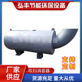 管道吹扫消声器批发 厂家供应管道吹扫消音器  吹管排汽消声器