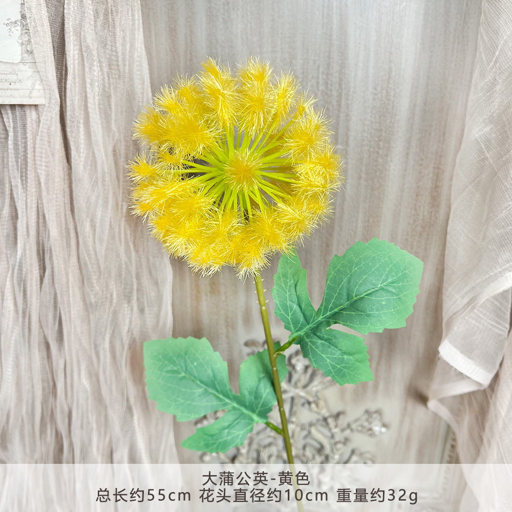 HZY-大蒲公英-黄色