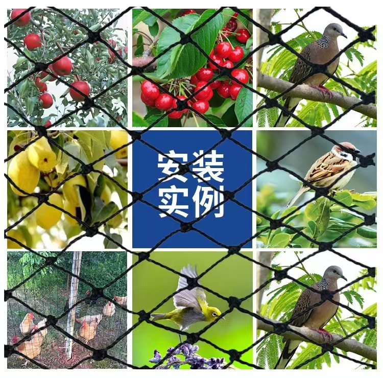 微信图片_20241113151354