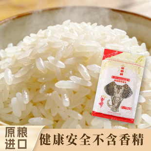�L�r�r��̩��̩����������500g1��8.9Ԫ���븮ԇ���bһ�����l���N
