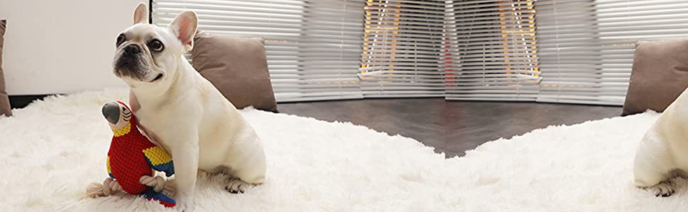 ba48dea4-5eba-4308-8eb4-314b2b