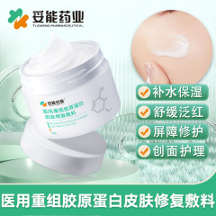 薬業医療用再編成コラーゲン皮膚修復ドレッシング50g/本
