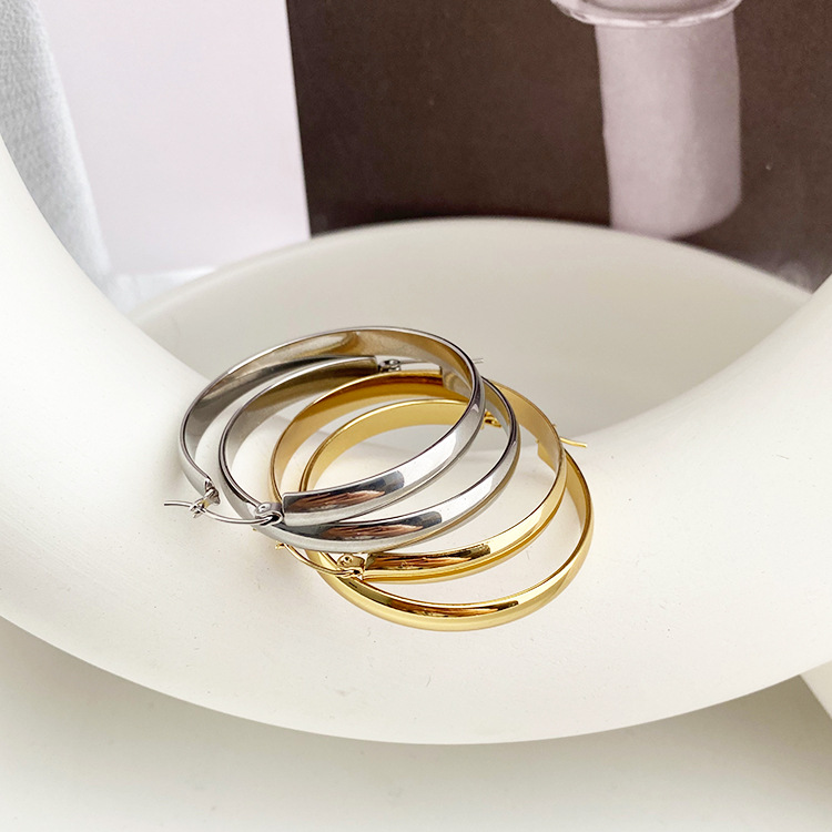Hoop Earrings Classification 1 Pair Simple Style Geometric Solid Color Plating Titanium Steel Hoop Earrings
