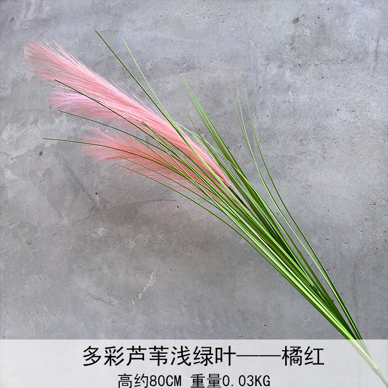 Caña hierba simulación de flores Cai Guoqiang Fuegos artificiales Caña Fuegos artificiales diurnos Fuegos artificiales diurnos Caña Fuegos artificiales